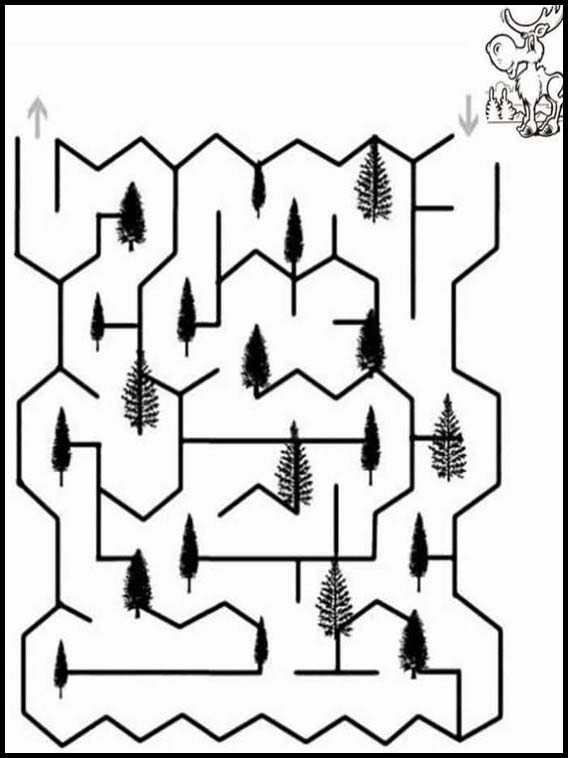 Labyrinthe 15