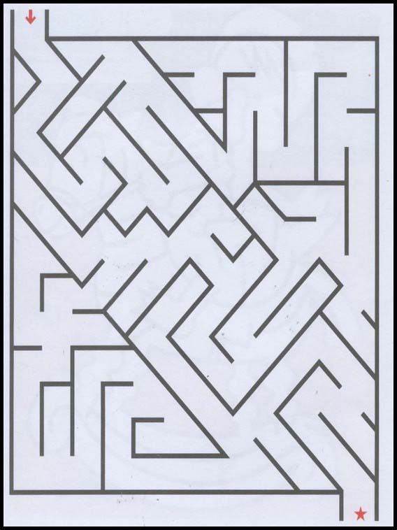 Labyrinthe 155